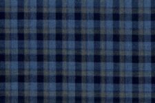 Blue with tan checks