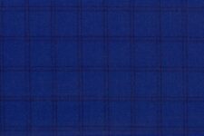 Cobalt blue with red windowpane