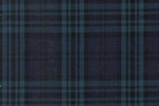 Blue green bold checks