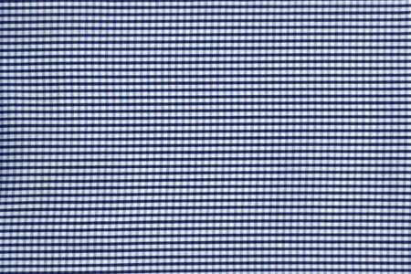 Blue small gingham