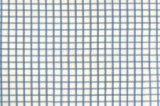 Light blue squares