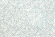 Aqua paisley