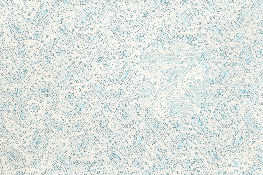 Aqua paisley