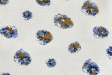 Blue and brown flowers on white