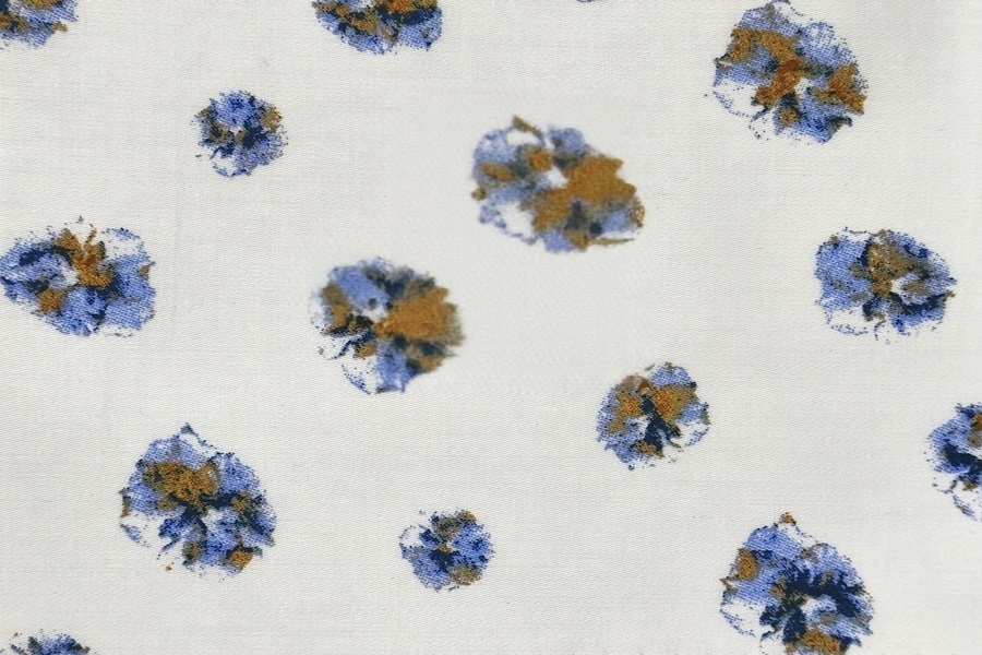 Blue and brown flowers on white