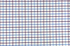 Purple and blue checks