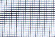 Navy and blue checks
