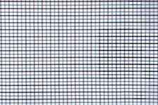 Purple and blue small checks