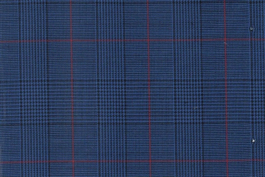 Cobalt Check with large red windowpane