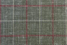 Olive with red windowpane